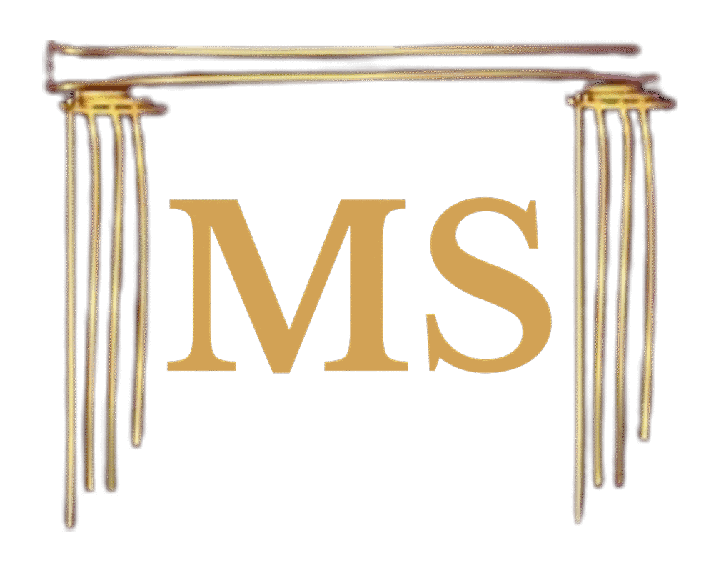 cropped-MS-logo.png